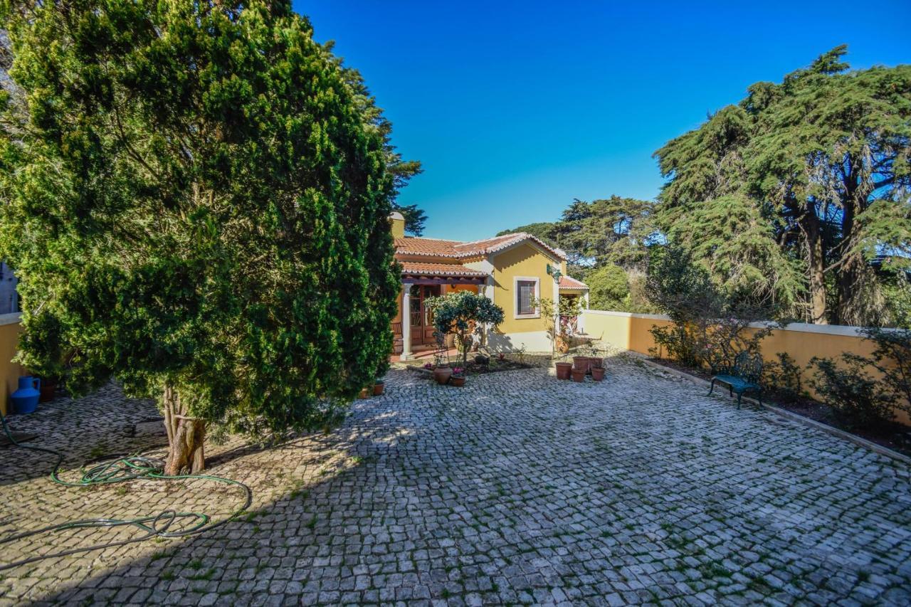 Casa Das Rosas Villa Sintra Exterior foto